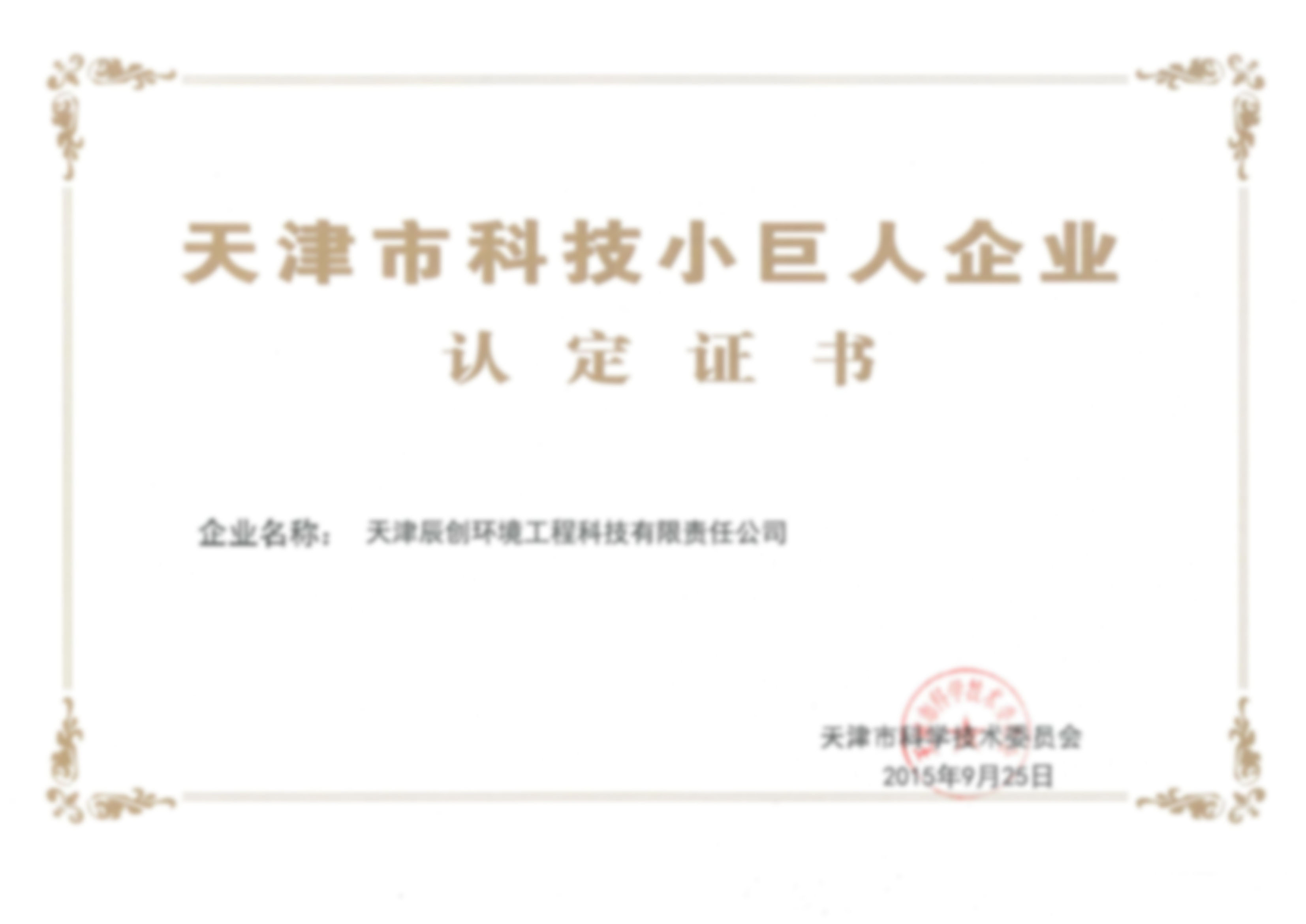 天津市科技小巨人企业认定证书